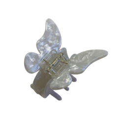 Piranha butterfly