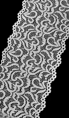 ART. 19024 Blanco en internet