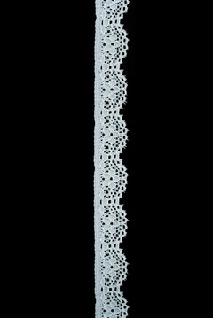 ART. 5001 Hueso