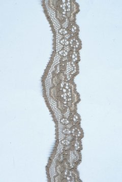 ART. 70504 Avellana