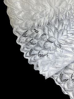 ART. 50093 Blanco en internet