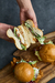 Fried Chicken Sandwich Party (4 unidades) en internet