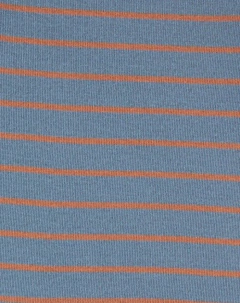 Imagem do Kit de body's Carter's - Rawr-some little fella