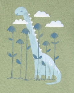 Kit de body's Carter's - Rawr-some little fella na internet