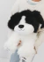 PELUCHE PERRO BLANCO Y NEGRO 35CM en internet