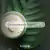 GREEN LINE- ACEITE DE LIMPIEZA PROFUNDA en internet