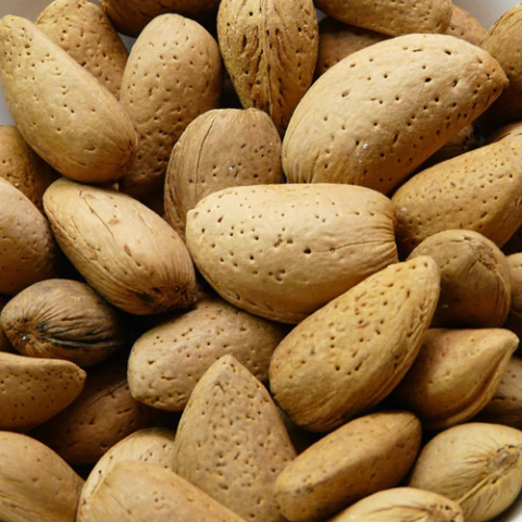 Almendras con Cascara x 100 Gr - comprar online