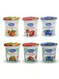Yogurt x160g - Tregar