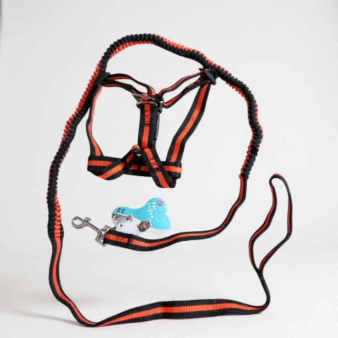 CORREA Y PRETAL BÁSICO | Arnés Paseo Perros Once