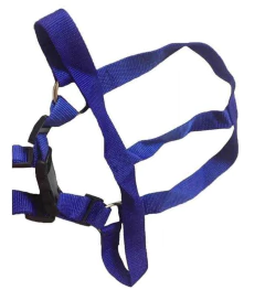 CORREA CON PRETAL PARA PERROS | Conjunto de Paseo Ajustable