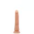Pênis Realístico 21cm com Glande, Veias e Ventosa - Baile - Belatrix Sex Shop