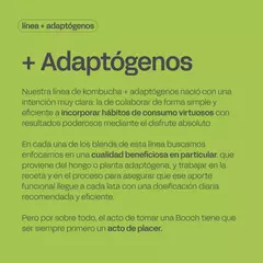 Kombucha Yerba Mate - Línea Adaptógenos - comprar online