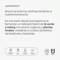 Imagen de Kombucha Suico - Línea Botánica