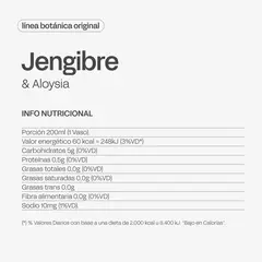 Kombucha Jengibre - Línea Botánica - Casa Vegana