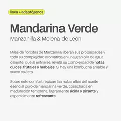 Kombucha Mandarina Verde - Línea Adaptógenos - comprar online