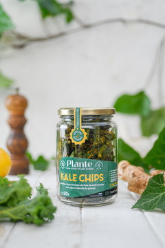 Kale Chips - Casa Vegana
