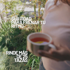 Té relajante (té verde, lavanda, tilo, canela y manzana) en internet