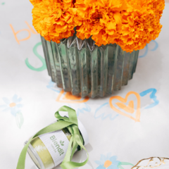 MATCHA + Ebook GRATIS en internet