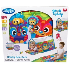 PLAYGRO GIMNASIO ABEJAS
