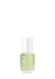 Avocado Revitalize