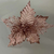 poinsetia-cor-de-rosa