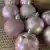Kit Bolas de Natal Cor-de-Rosa 9 und 6 cm - comprar online