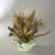 Arranjo com Flores Secas em Regador de Cerâmica 30 cm - comprar online