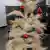 Árvore de Natal de Patchouli 120 cm na internet