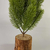 arvore-de-mesa-decorativa