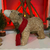 urso-grande-para-decoração-de-natal