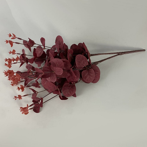 Eucalipto Vermelho