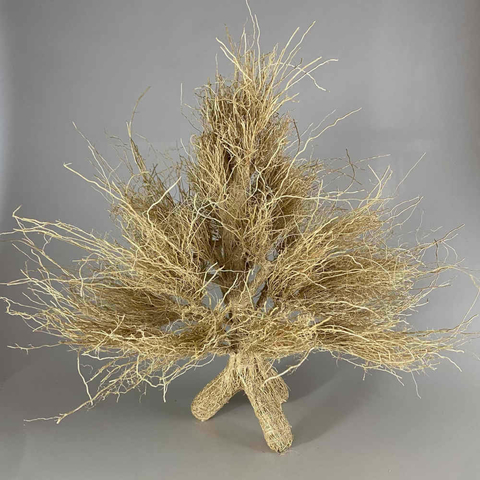 arvore-de-patuchouli-artesanal