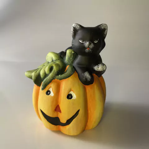 Gato Preto na Abóbora