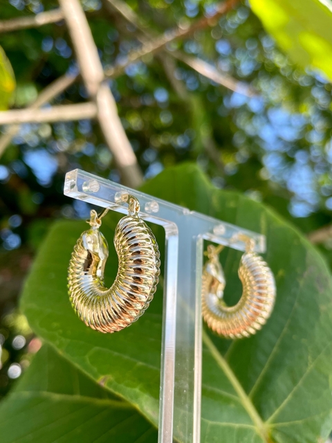 Argola estilo