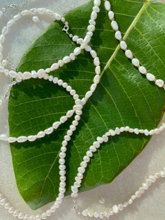 Choker pérola água doce gota - prata 925 - comprar online