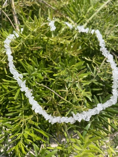 Choker mini cascalho Quartzo-transparente - Yalla 