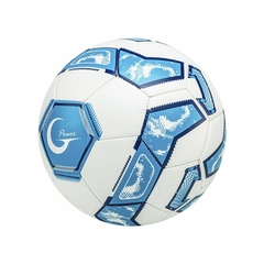 Pelota Goalty Power
