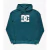 BUZO DC LOGO STAR (BTGO) - comprar online