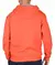 CAMPERA CHAMPION GRAPHIC (NAR) en internet