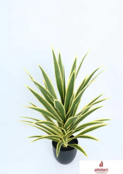 Sanseviera Plant 79cm - comprar online