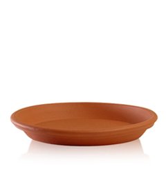 plato blum