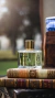 Perfume South Fox - comprar online