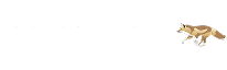 South Fox