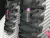 ZOOM PEGASUS 35 TURBO - " Gray/Pink/White" en internet