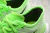 ZOOM PEGASUS TURBO 2.0 - " Electronic Green/Beige" - DAIKAN
