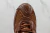 Supreme x Air Max 98 TL SP 'Fauna Brown' en internet
