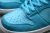 Nike SB Dunk Low Pro Blue Fury en internet