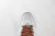 Air Force 1 '07 Low en internet
