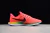 ZOOM PEGASUS 35 TURBO - "Red Orbit" en internet