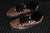 Imagen de Vans KNU Skool Leopard